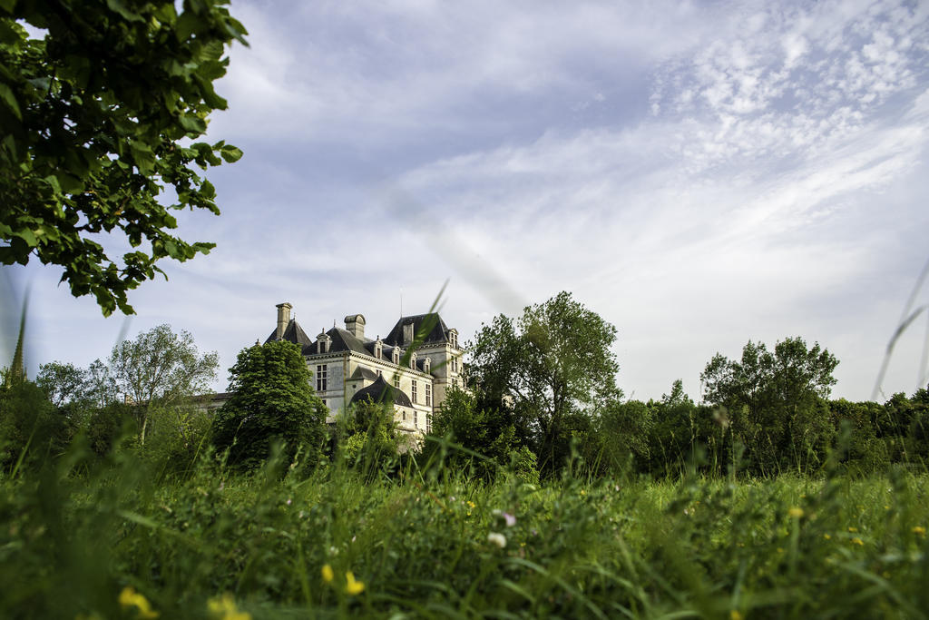 Hotel Restaurant Du Chateau De La Tour Beguey Exterior photo